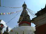 0308 nepal 118.jpg